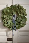 Thumbnail View 1: Fresh Silver Dollar Eucalyptus Wreath