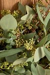 Thumbnail View 2: Fresh Tri-Eucalyptus Wreath