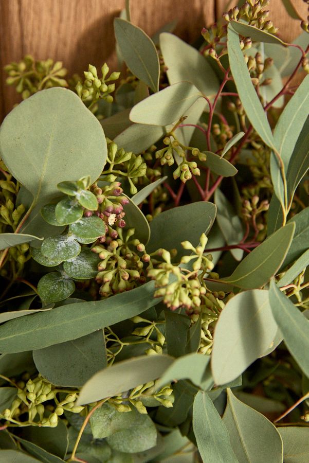 Slide View: 2: Fresh Tri-Eucalyptus Wreath