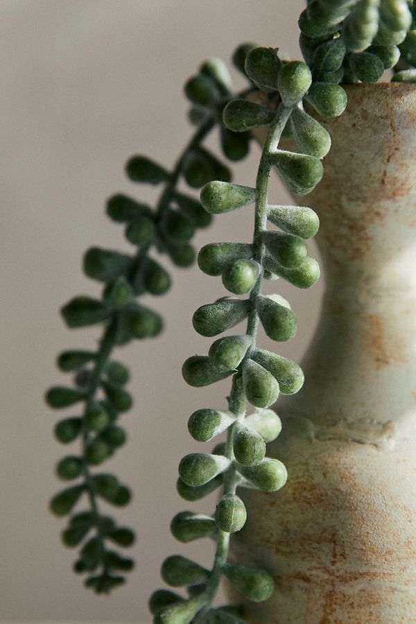 Slide View: 2: Faux Donkey Tail Fern Pick