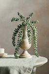 Thumbnail View 1: Faux Donkey Tail Fern Pick