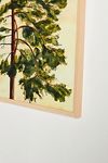 Thumbnail View 2: Lyubov Fonareva for Artfully Walls Pine Wall Art