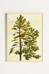 Thumbnail View 1: Lyubov Fonareva for Artfully Walls Pine Wall Art