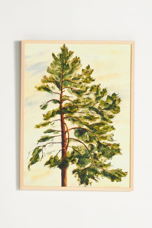 Slide View: 1: Lyubov Fonareva for Artfully Walls Pine Wall Art