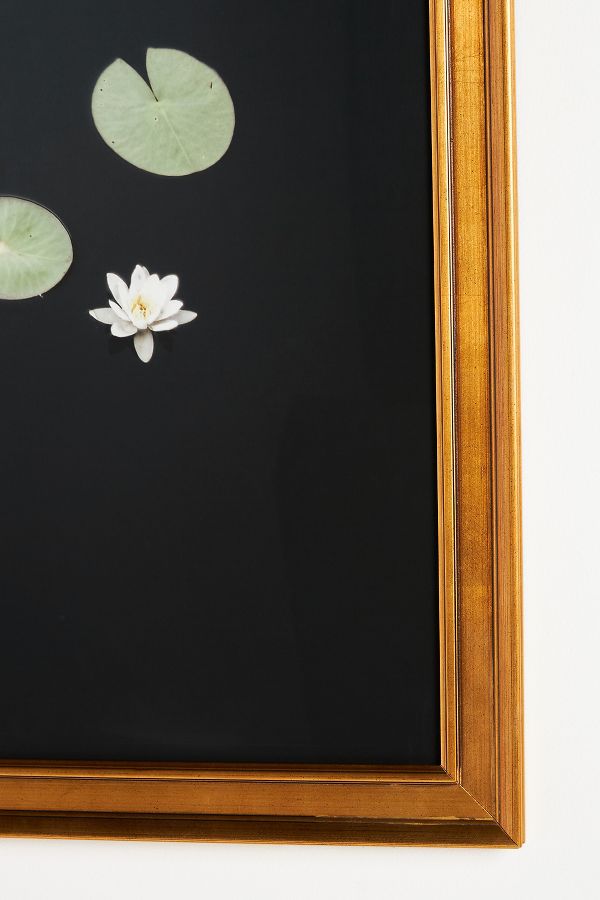 Slide View: 2: Lilies Wall Art