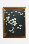 Thumbnail View 1: Lilies Wall Art