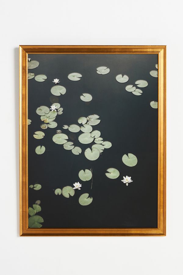 Slide View: 1: Lilies Wall Art