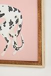 Thumbnail View 2: Harlequin on Pink Wall Art