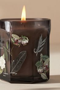 Slide View: 5: Apothecary 18 Floral Night Gardenia Small Glass Candle