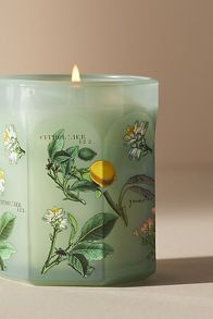 Slide View: 4: Apothecary 18 Floral Sol Tobac Small Glass Candle