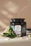 Visualizzazione miniature 1: Speziale 18 Night Gardenia Ceramica Vaso Candela