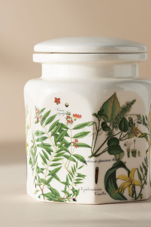 Slide View: 5: Apothecary 18 Woody Sandalwood Vanilla Ceramic Jar Candle