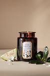 Thumbnail View 1: Apothecary 18 Floral Night Gardenia Glass Jar Candle