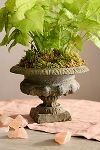 Thumbnail View 1: Mini Cast Iron Urn Planter