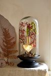 Thumbnail View 3: Glass Cloche with Distressed Wood Pedestal Base