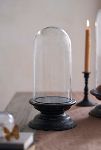 Thumbnail View 6: Glass Cloche with Distressed Wood Pedestal Base