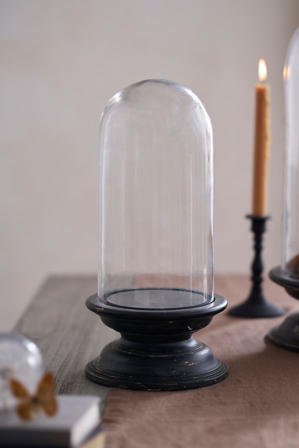 Slide View: 6: Glass Cloche with Distressed Wood Pedestal Base