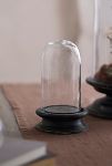 Thumbnail View 7: Glass Cloche with Distressed Wood Pedestal Base