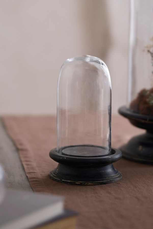 Slide View: 7: Glass Cloche with Distressed Wood Pedestal Base