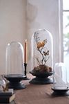 Thumbnail View 1: Glass Cloche with Distressed Wood Pedestal Base