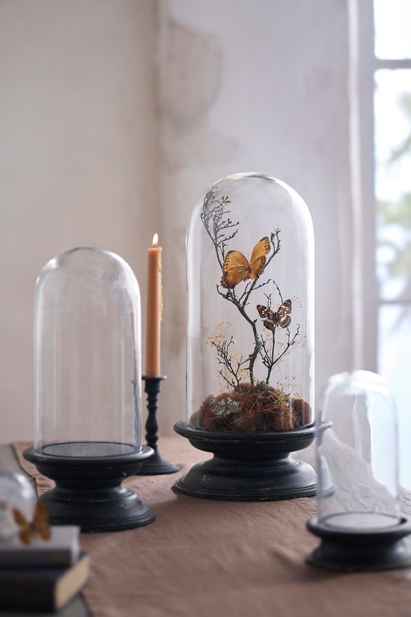 Slide View: 1: Glass Cloche with Distressed Wood Pedestal Base