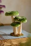 Thumbnail View 1: Velvet Mushrooms, Small