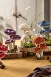 Thumbnail View 5: Velvet Mushrooms, Small