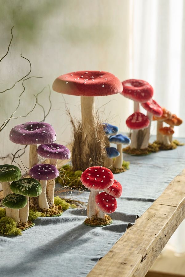 Slide View: 2: Velvet Mushrooms, Small