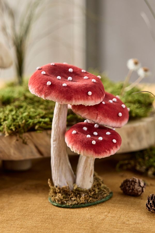 Slide View: 3: Velvet Mushrooms, Small