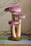 Thumbnail View 1: Velvet Mushrooms, Large