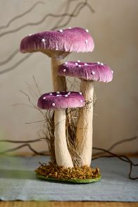 Slide View: 1: Velvet Mushrooms, Large