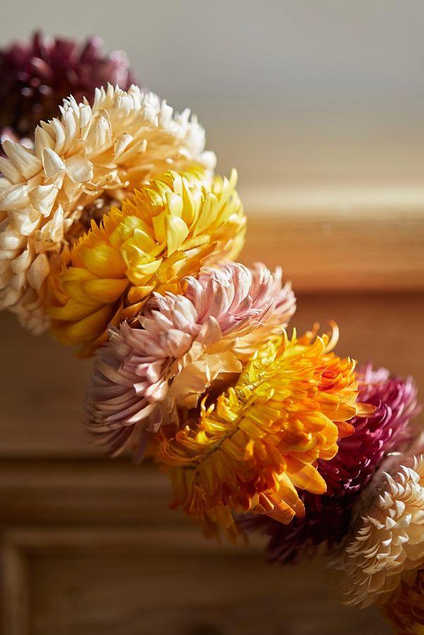 Slide View: 2: Preserved Helichrysum Garland