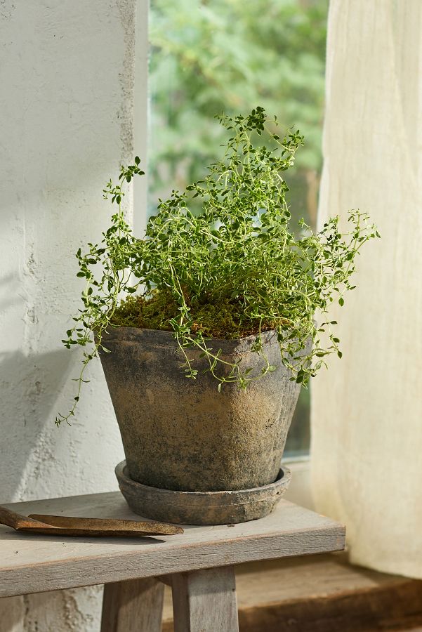 Slide View: 1: Earth Fired Clay Square Top Pot + Saucer Set