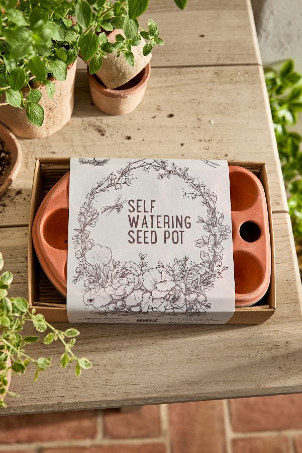 Slide View: 1: Self-Watering Seed Pot