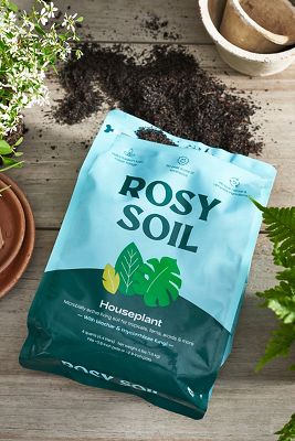 Rosy Soil Earth Positive Indoor Potting Mix