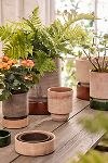 Thumbnail View 13: Bergs Hoff Terracotta Pot