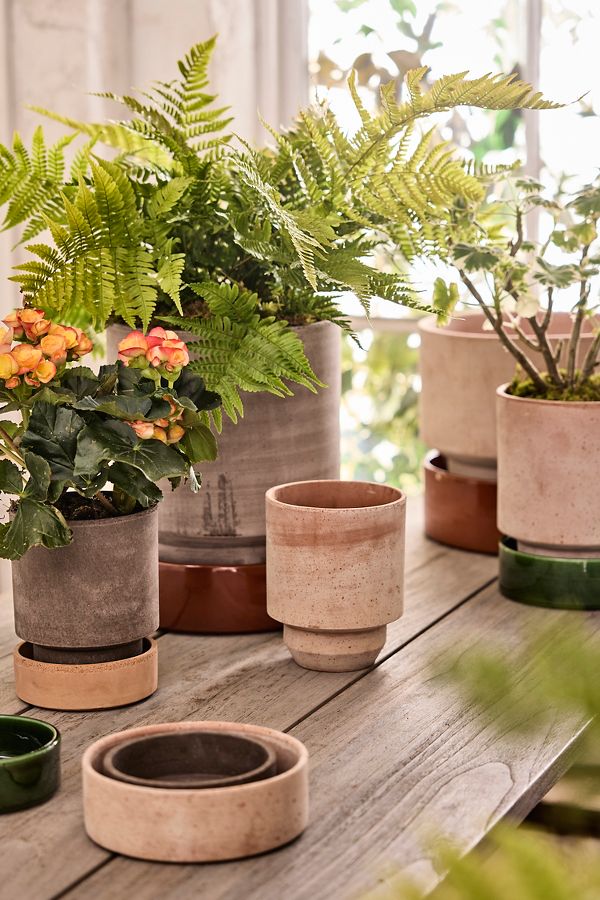 Slide View: 13: Bergs Hoff Terracotta Pot