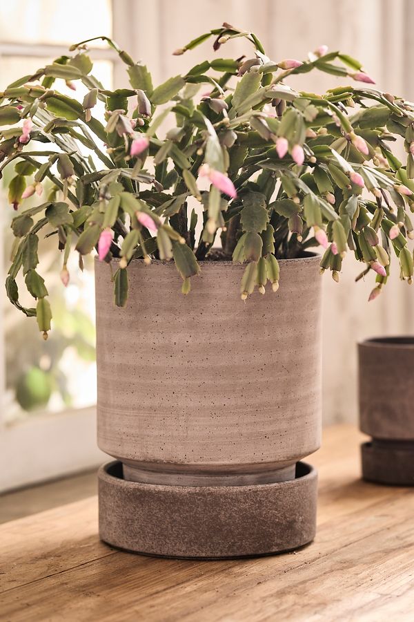 Slide View: 9: Bergs Hoff Terracotta Pot