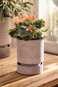 Slide View: 7: Bergs Hoff Terracotta Pot