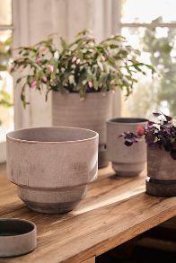 Slide View: 2: Bergs Hoff Terracotta Pot