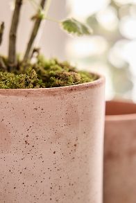 Slide View: 5: Bergs Hoff Terracotta Pot