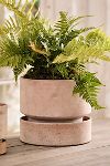 Thumbnail View 10: Bergs Hoff Terracotta Pot