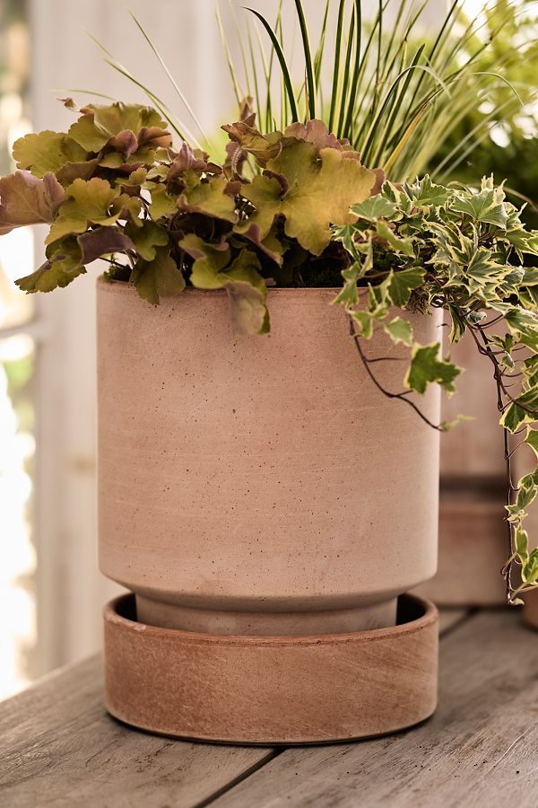 Slide View: 12: Bergs Hoff Terracotta Pot