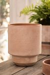 Thumbnail View 13: Bergs Hoff Terracotta Pot