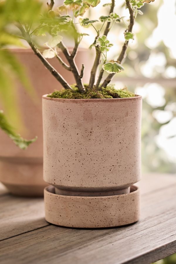 Slide View: 8: Bergs Hoff Terracotta Pot