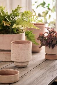 Slide View: 2: Bergs Hoff Terracotta Pot