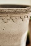 Thumbnail View 6: Bergs Tall Copenhagen Terracotta Pot + Saucer Set