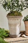 Thumbnail View 2: Bergs Tall Copenhagen Terracotta Pot + Saucer Set