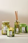 Thumbnail View 2: Apothecary 18 Fresh Fern Moss Ceramic Jar Candle