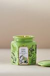 Thumbnail View 1: Apothecary 18 Fresh Fern Moss Ceramic Jar Candle